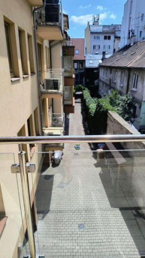 Old Town Center Apartment